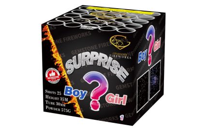 Surprise Boy or Girl (Boy)